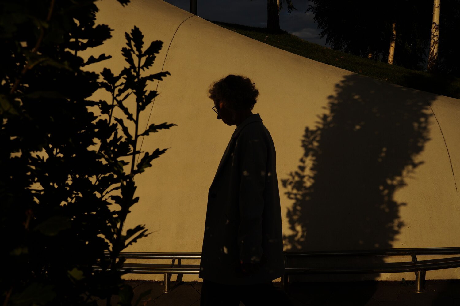 Photo #13998626