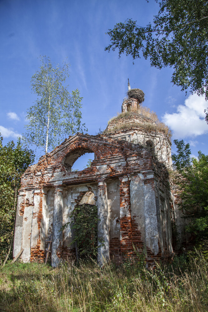 Фотография автора Алексей Борисов