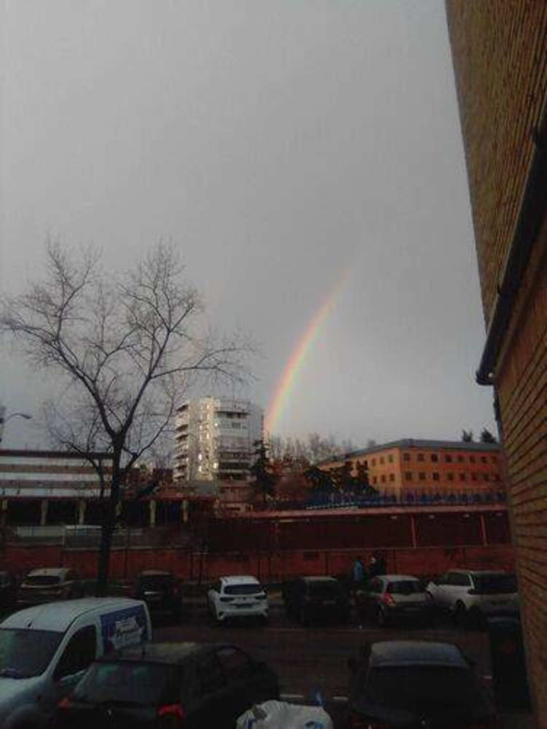 Photo #13998690