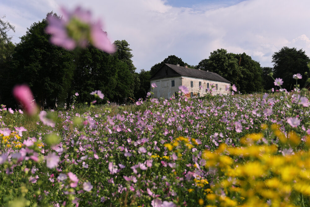 Photograph by Карина Онисенко