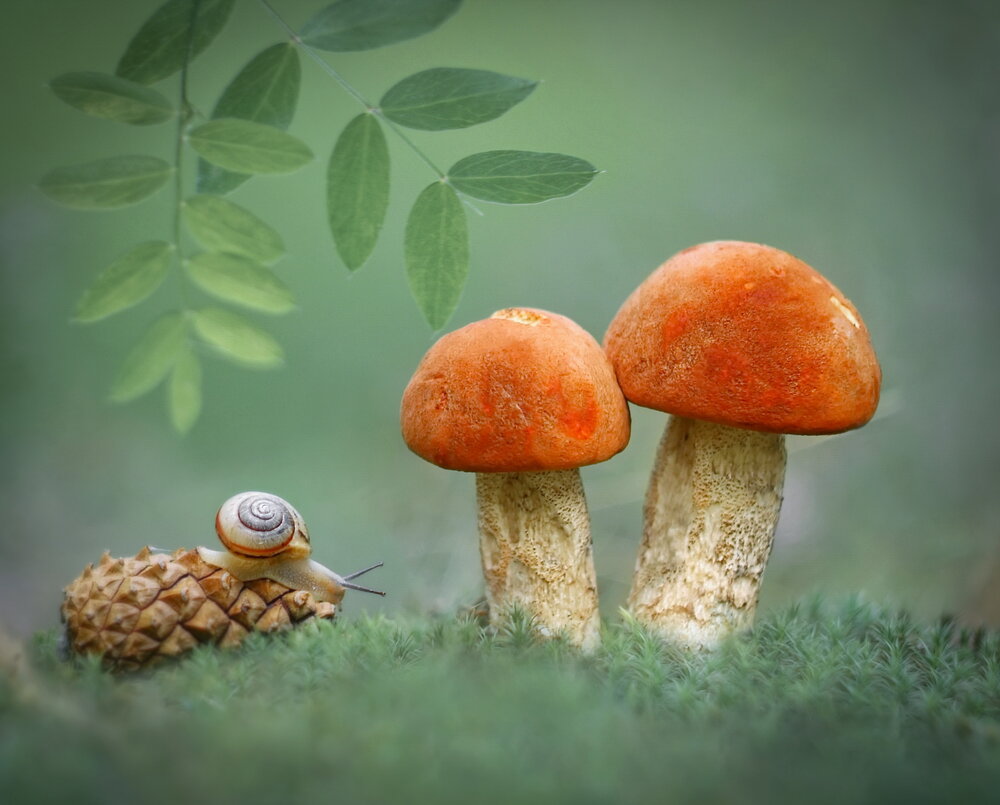 Photograph by Александр Гвоздь