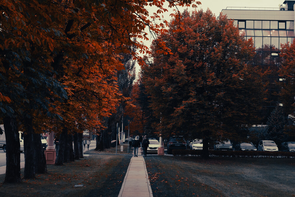 Photograph by Георгий Татарченко