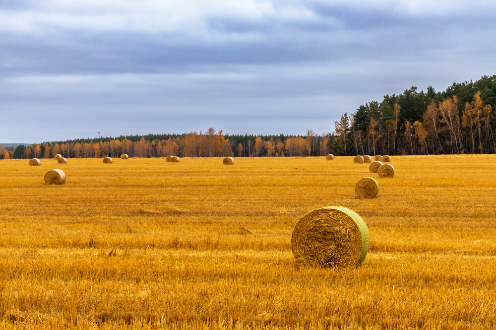 Photograph by Георгий Татарченко