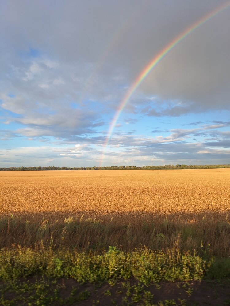 Photograph by Ольга Мольдон