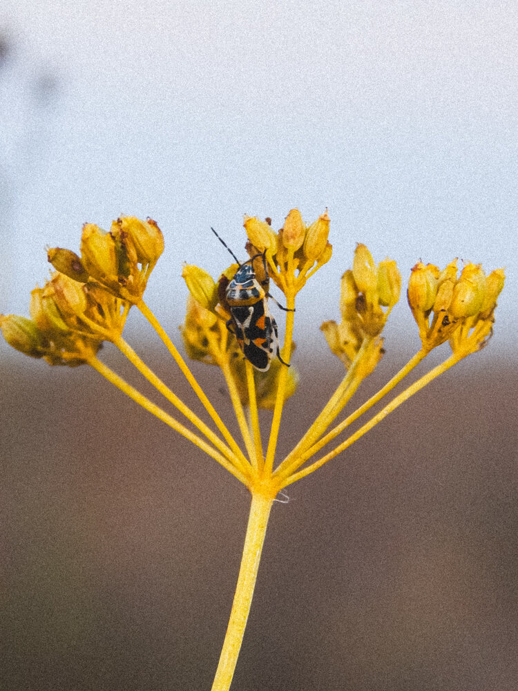 Photograph by Aлександра Чаплыгина