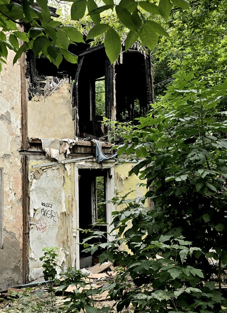 Фотография автора Ольга Меньшенина
