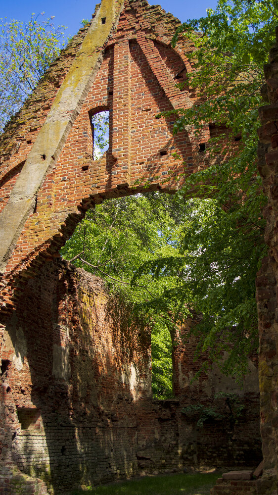 Photograph by Роман Чернышов