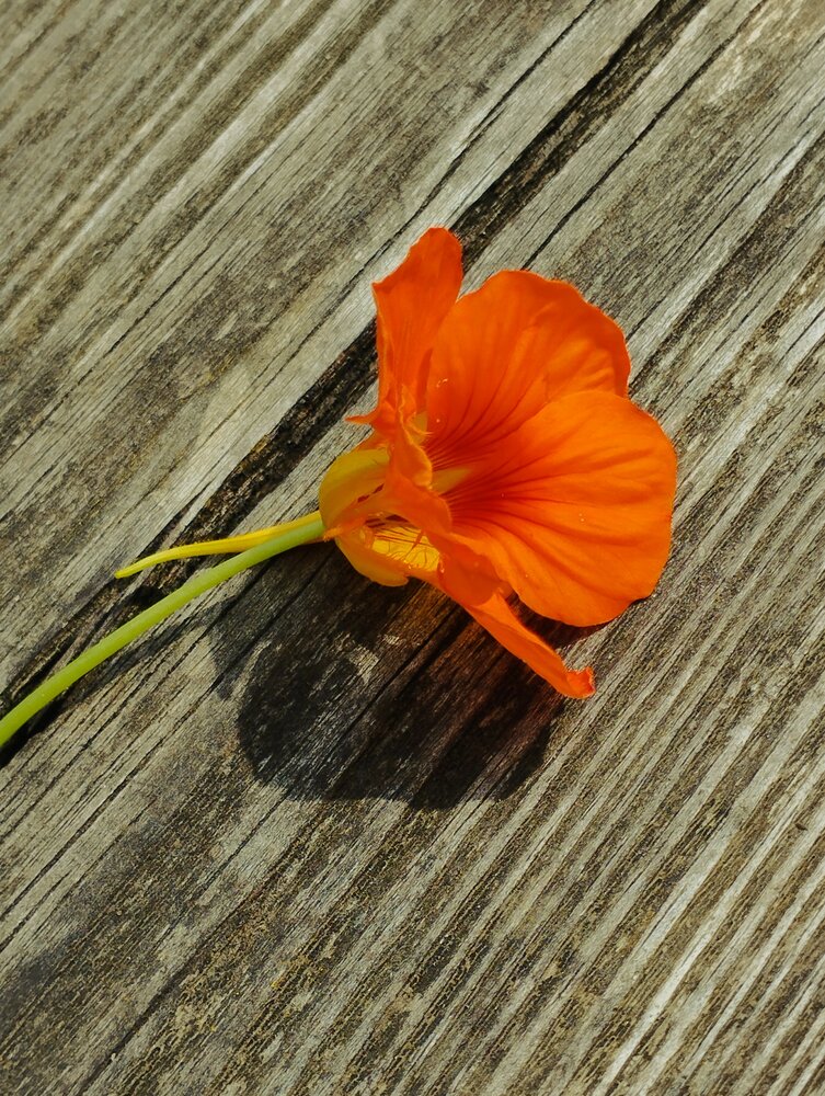 Photograph by Ия Дирко