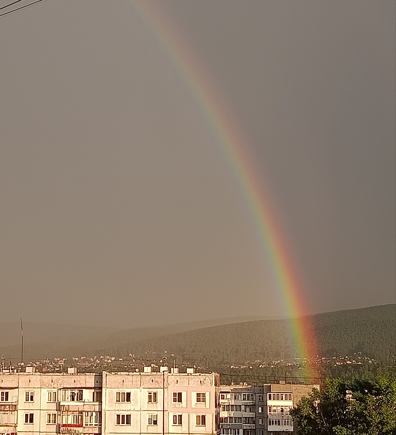 Photo #13999238