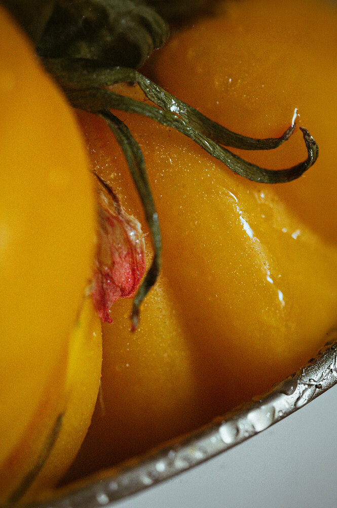 Photograph by Олеся Петрович
