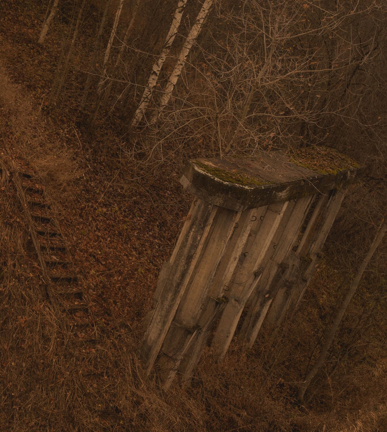 Photo #13999375