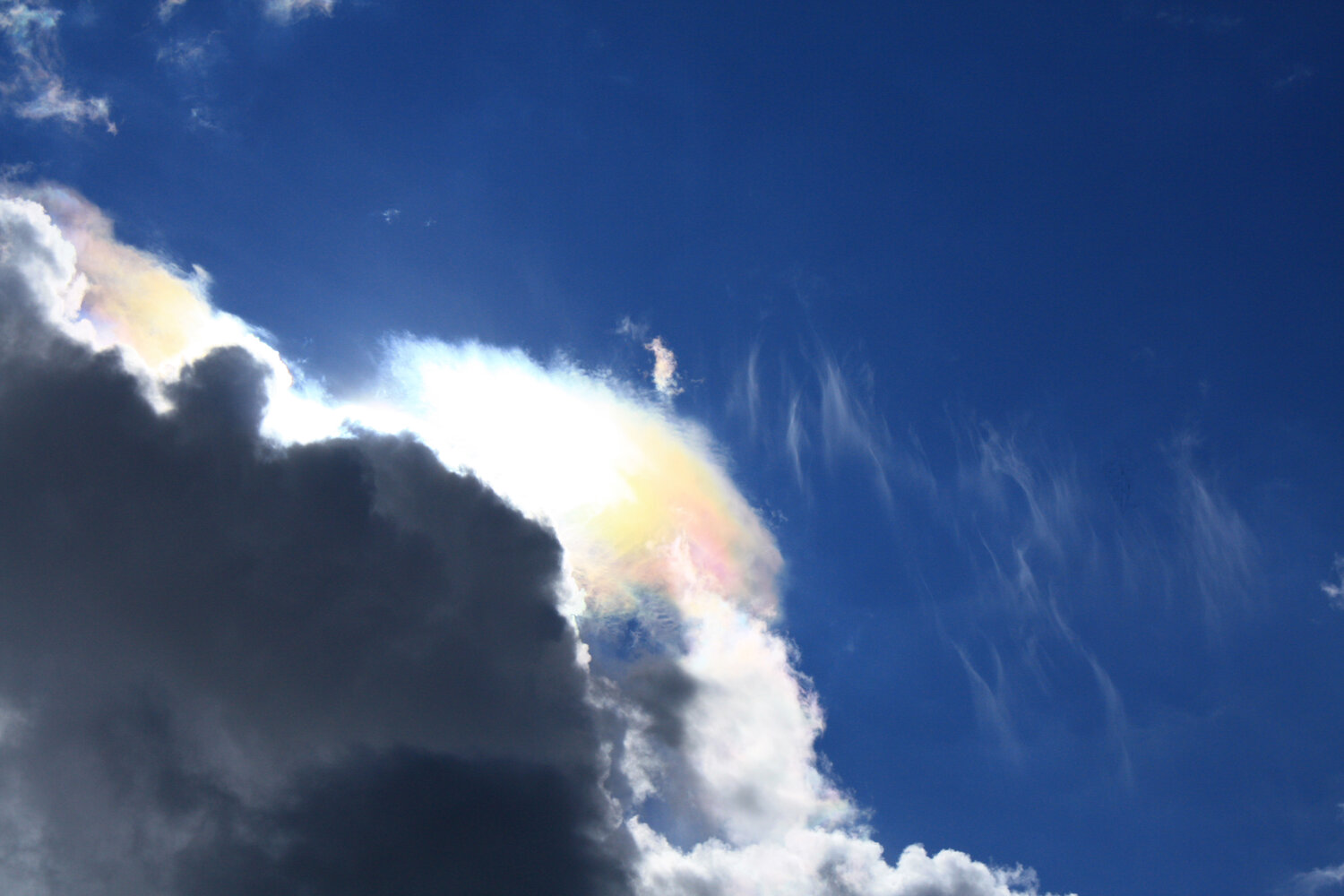 Photo #13999416