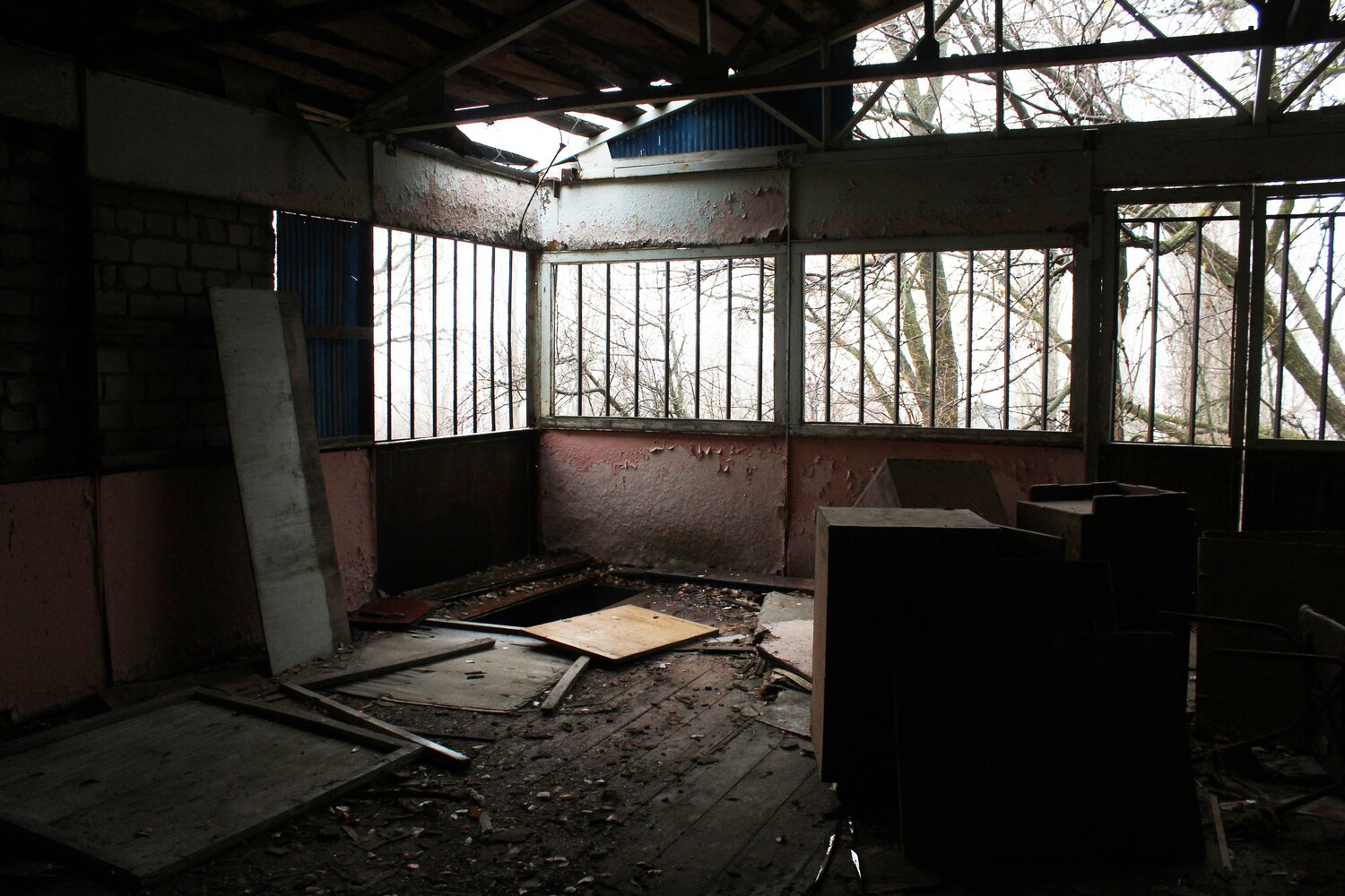 Photo #13999424