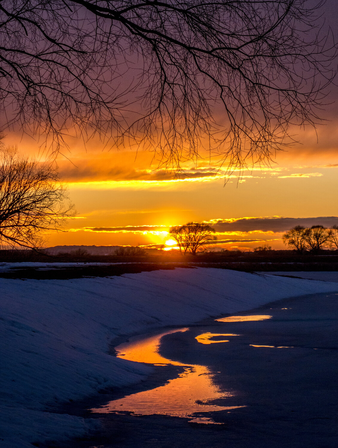Photo #13999436