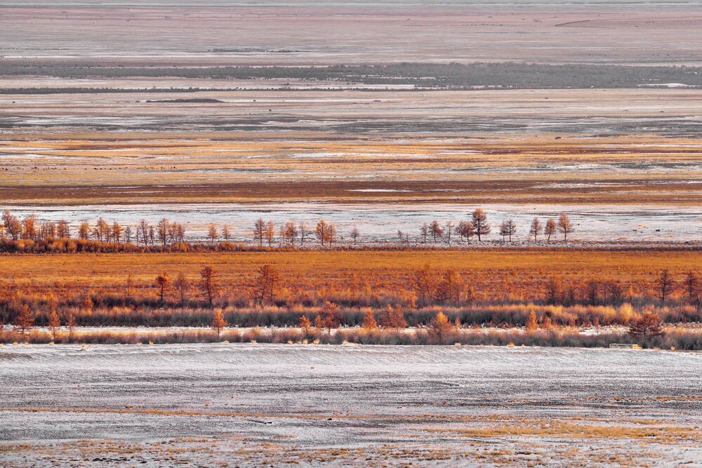 Photograph by Кузнецов Андрей