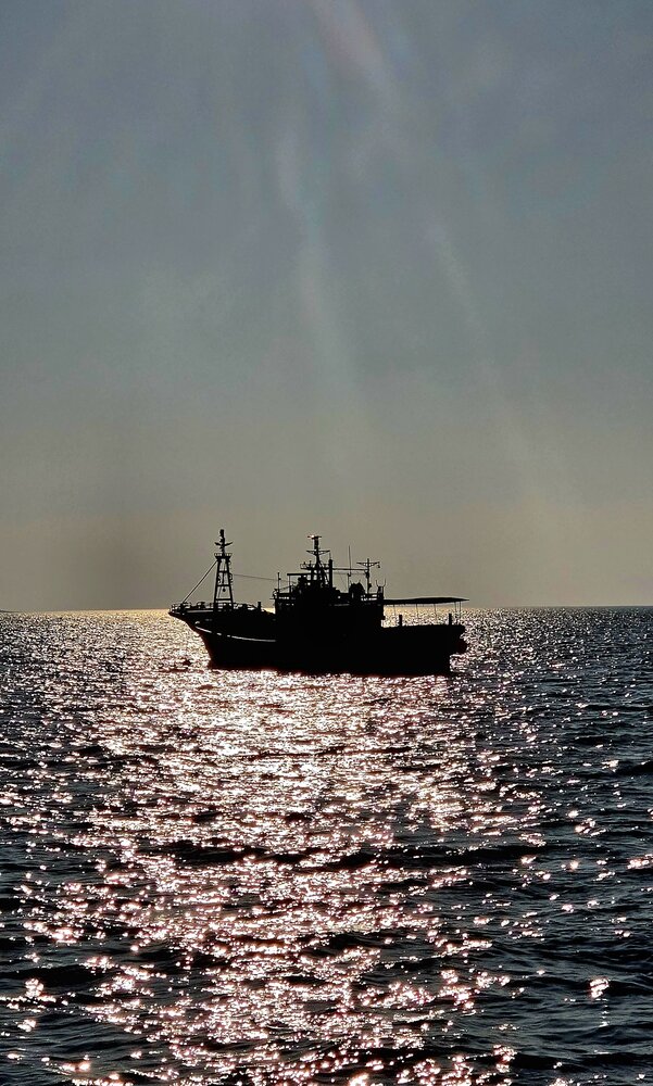 Photograph by Лариса Ким