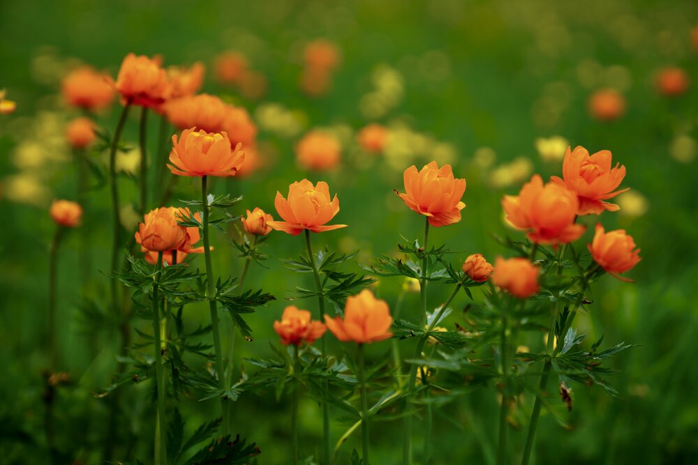 Photograph by Кузнецов Андрей