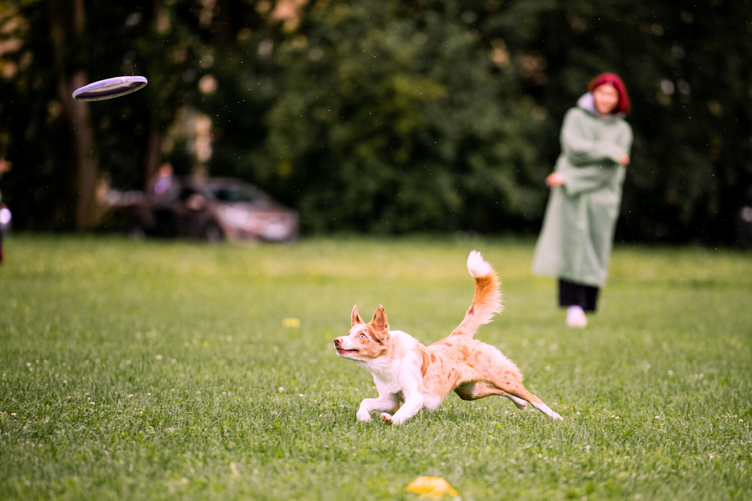 Photo #13999557