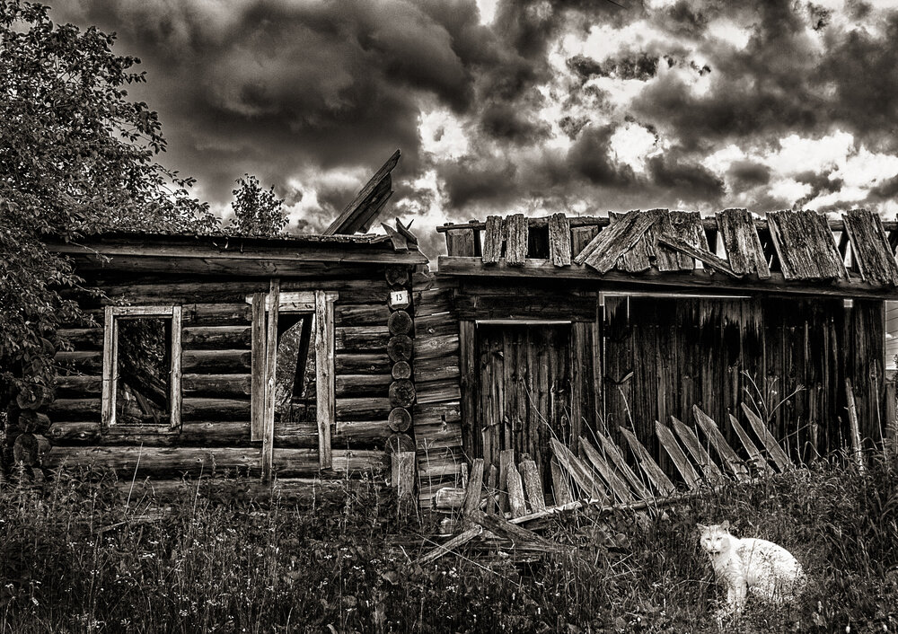 Photograph by александр