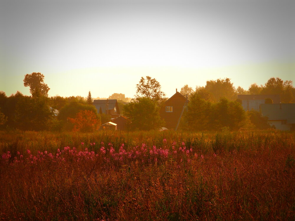 Photograph by Газеев Семён