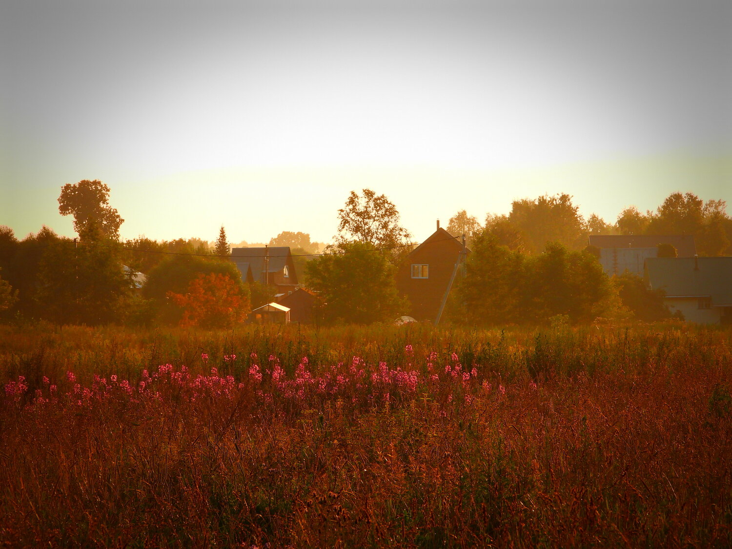 Photo #13999680