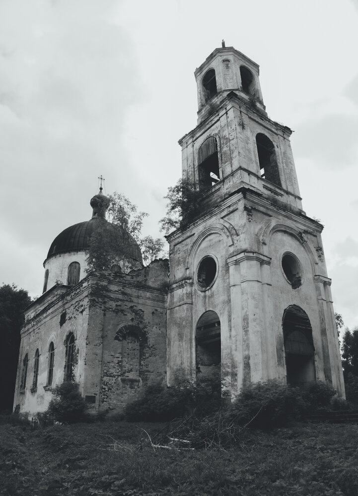 Фотография автора Полина Сивцова