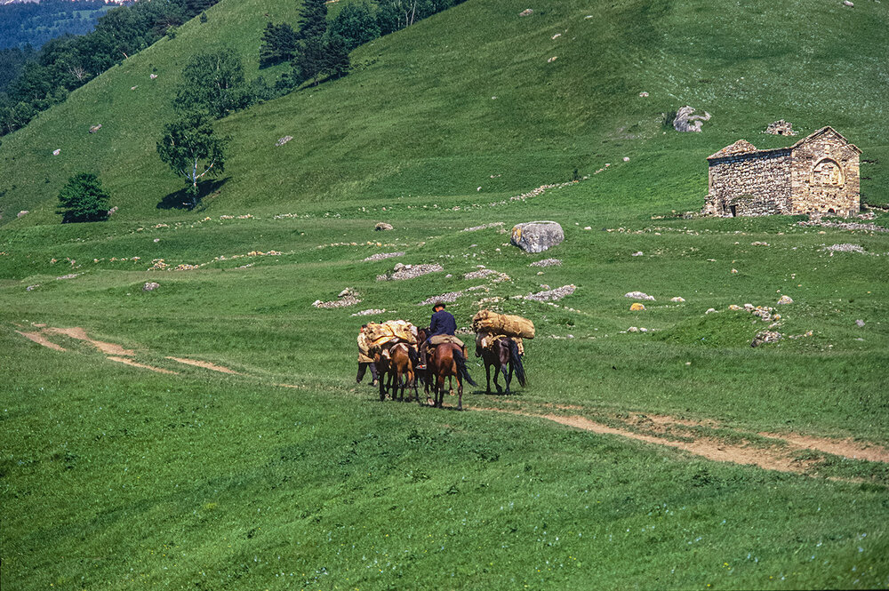 Photograph by Александр Поляков