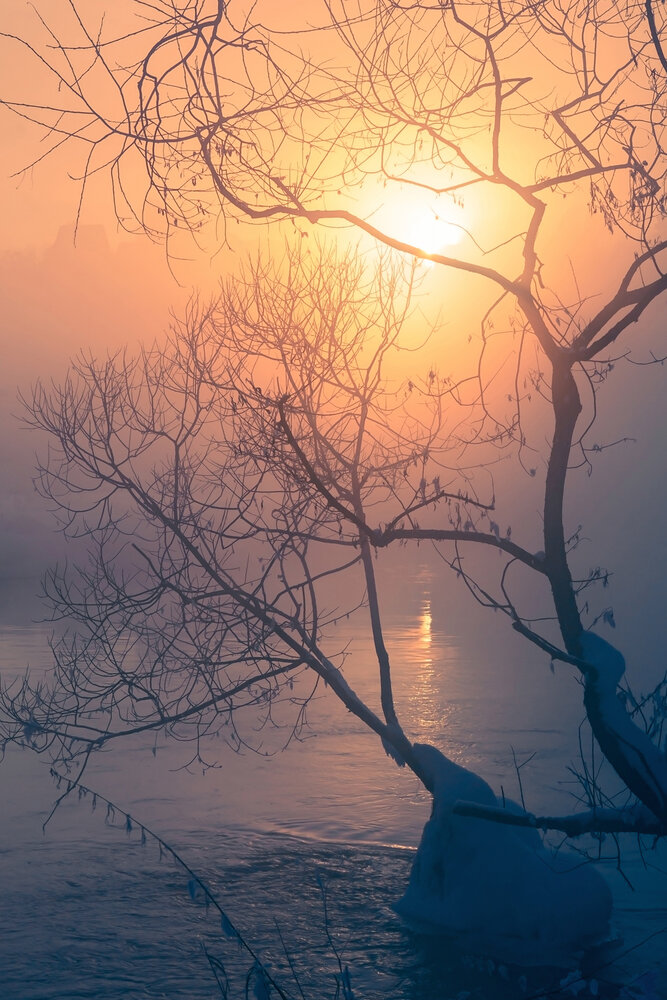 Photograph by 
