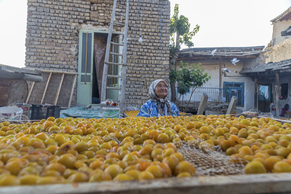 Photograph by seyed mostafa yousefi