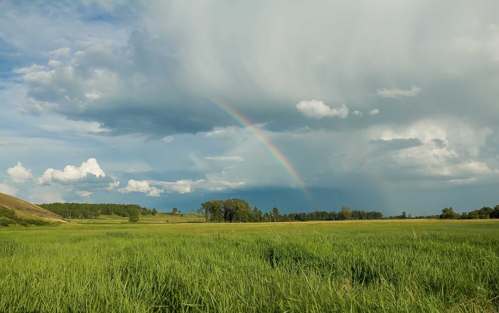Фотография автора Евгения Бурлуцкая