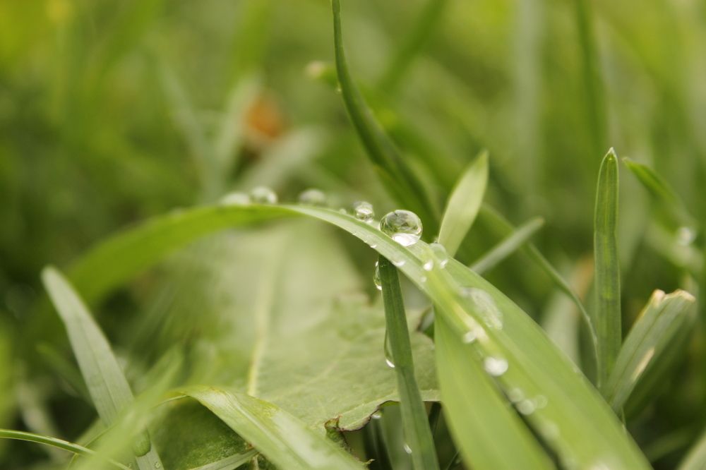 после дождя