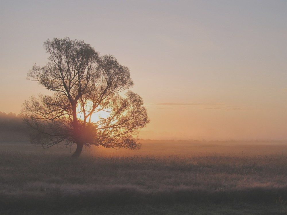 Тихое утро.