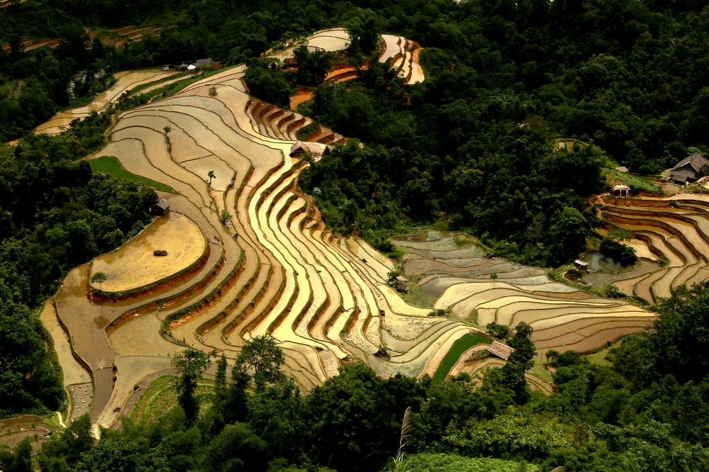 Terraces.