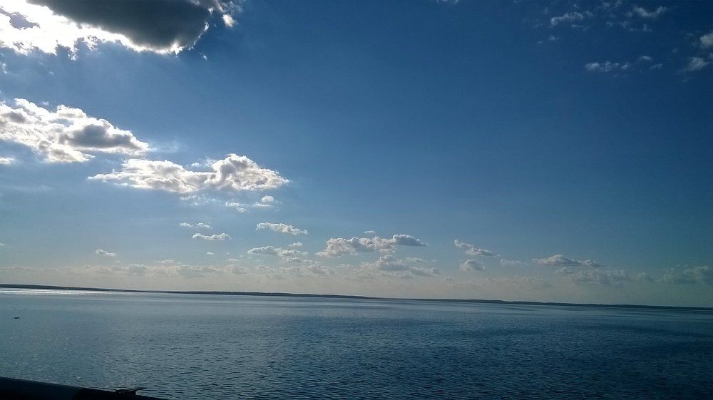 Photo #1400299