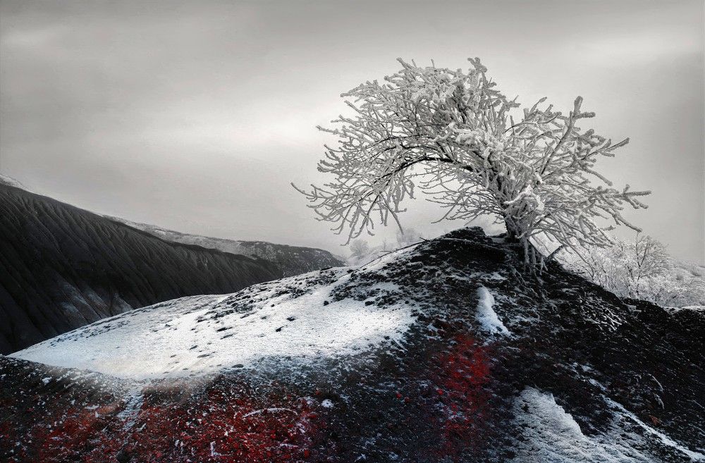 Замля Донбасса