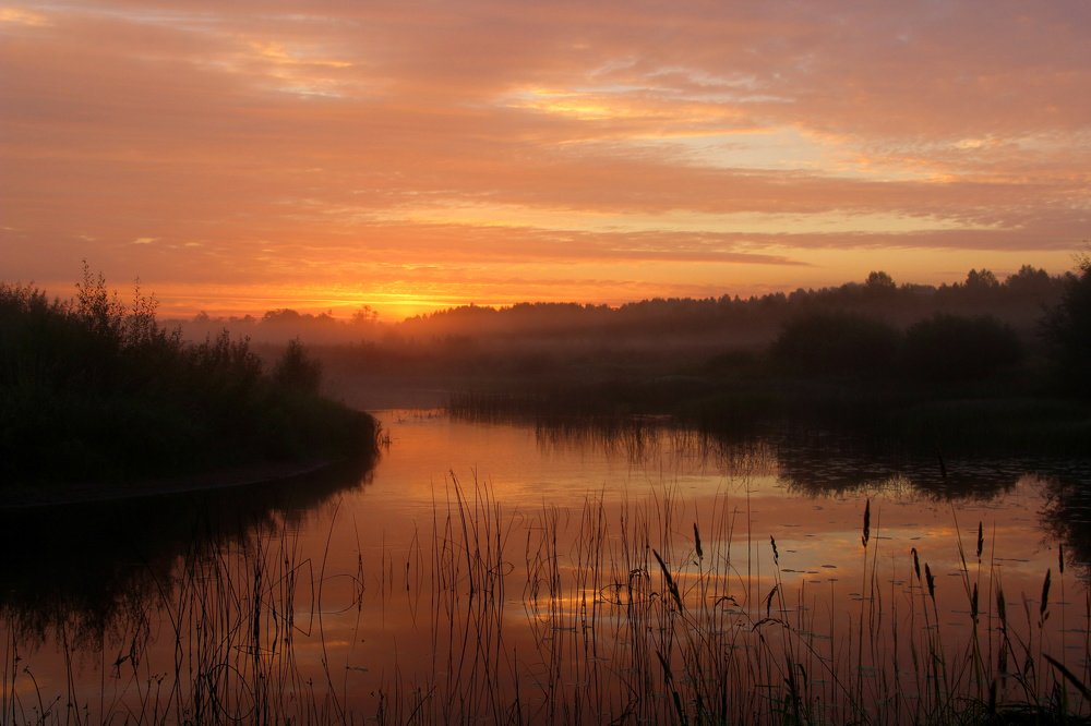 В предрассветный час.