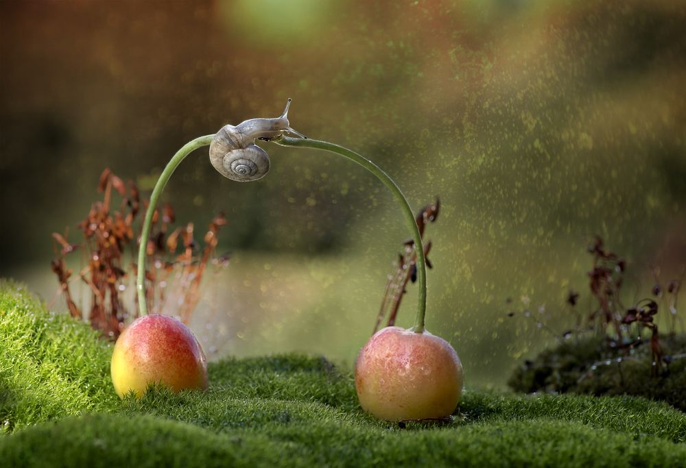 Photograph by Таня  Маркова