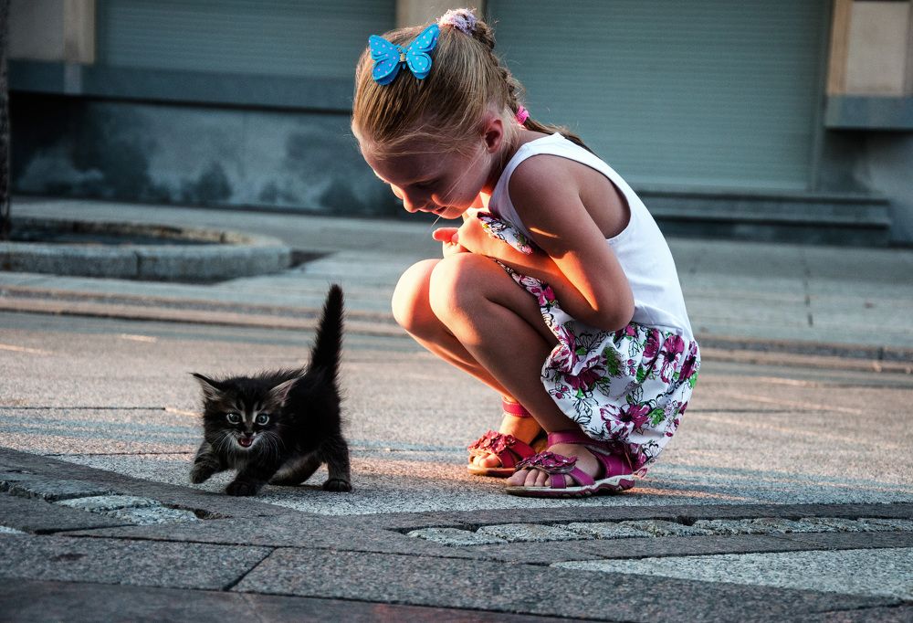 Photograph by Инна Мельникова