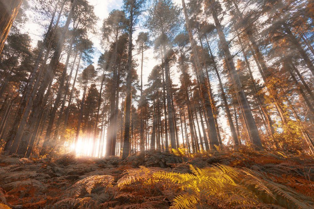 Photograph by Рашид Хайданов