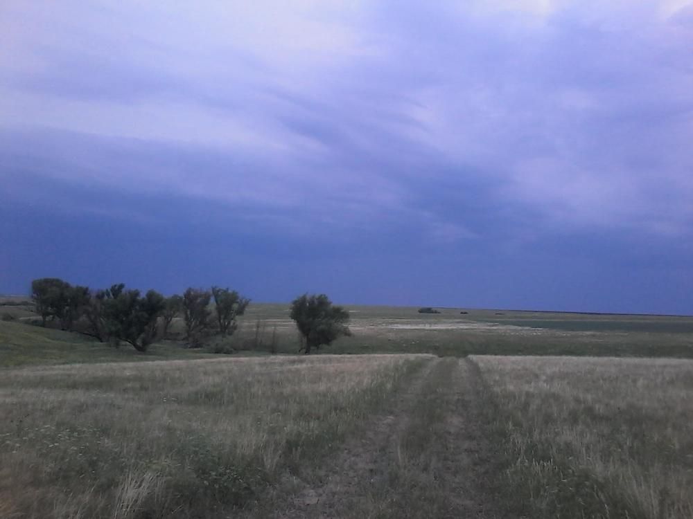 Русь; земля; Саратовская область; Поле; лето; перед дождем;