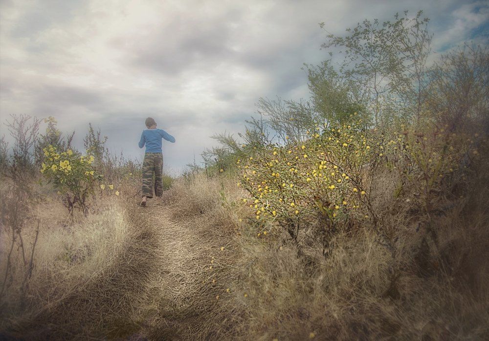 Цыеты у дороги