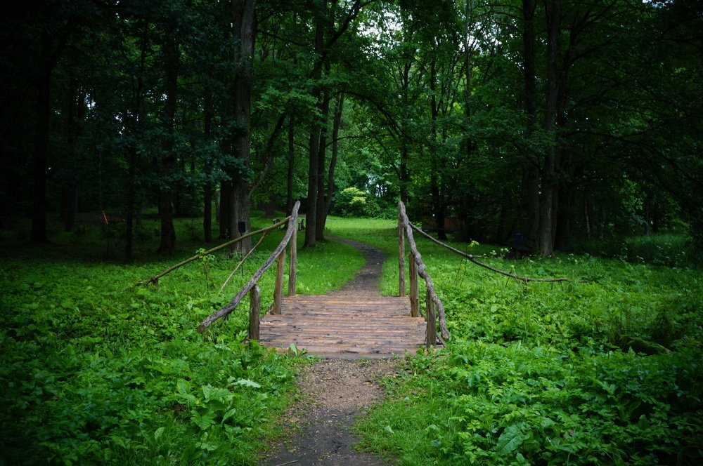 Лесной мост