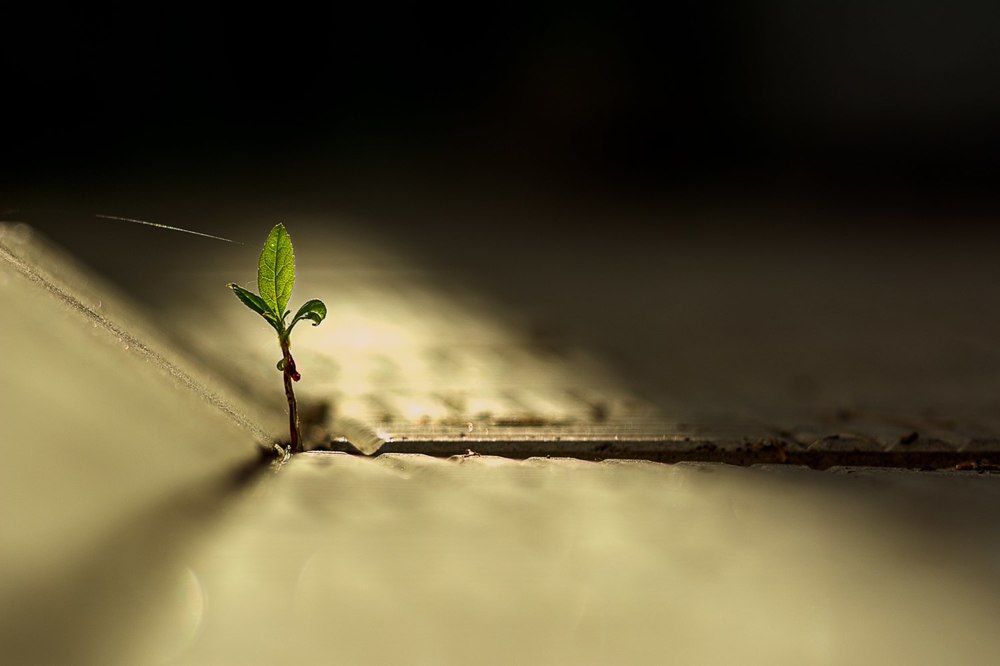 Photograph by Денис Кимов