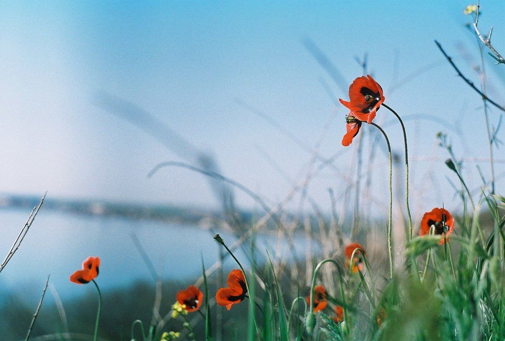 Photograph by Tanya