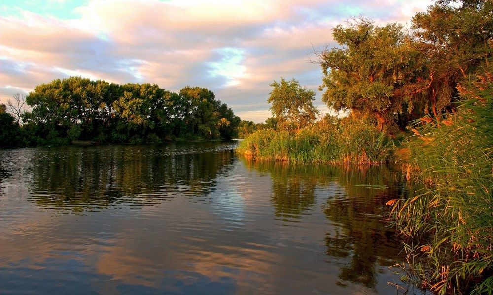 "Утро у реки"