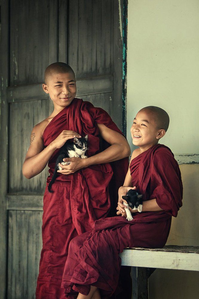 Буддийские монахи (Мьянма)