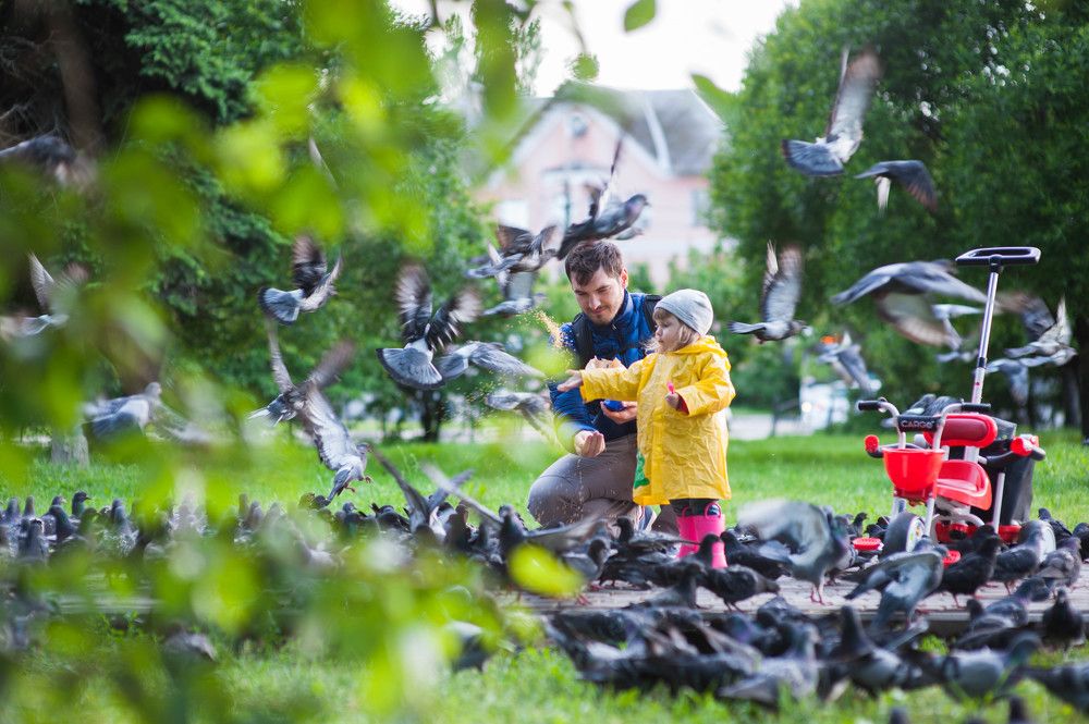 Большая кормёжка