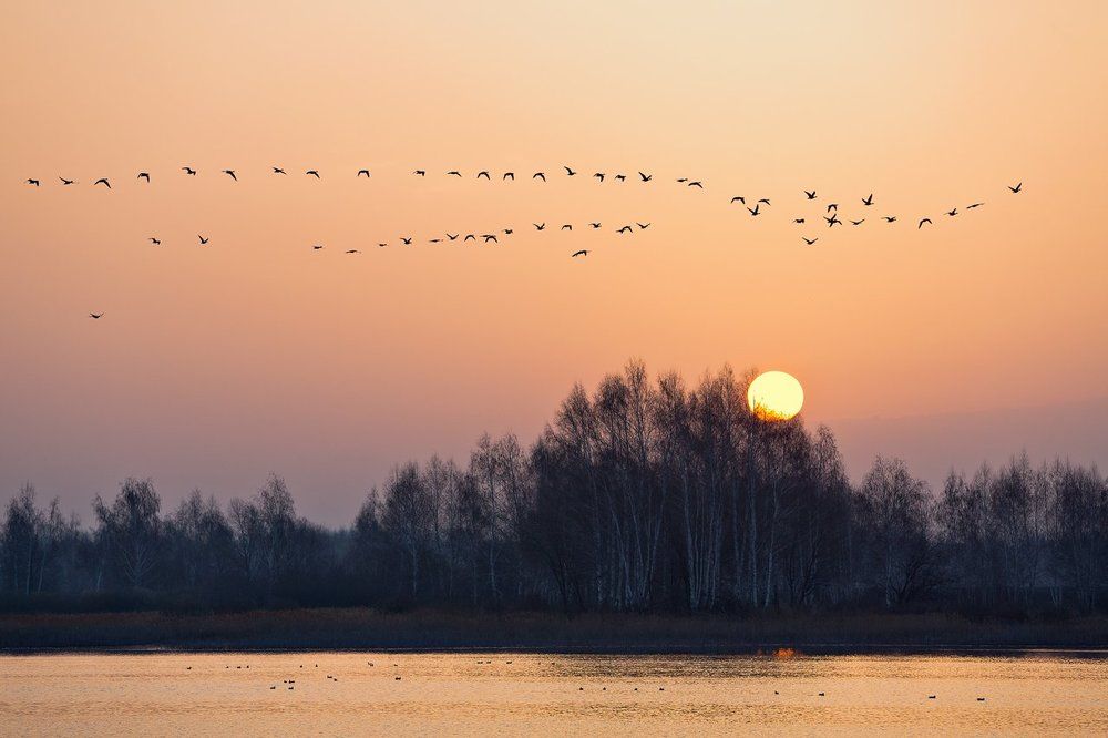 Апрельское утро.