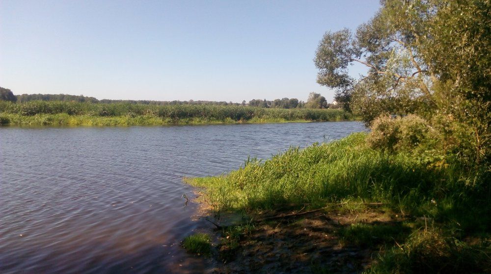 Photo #1404442