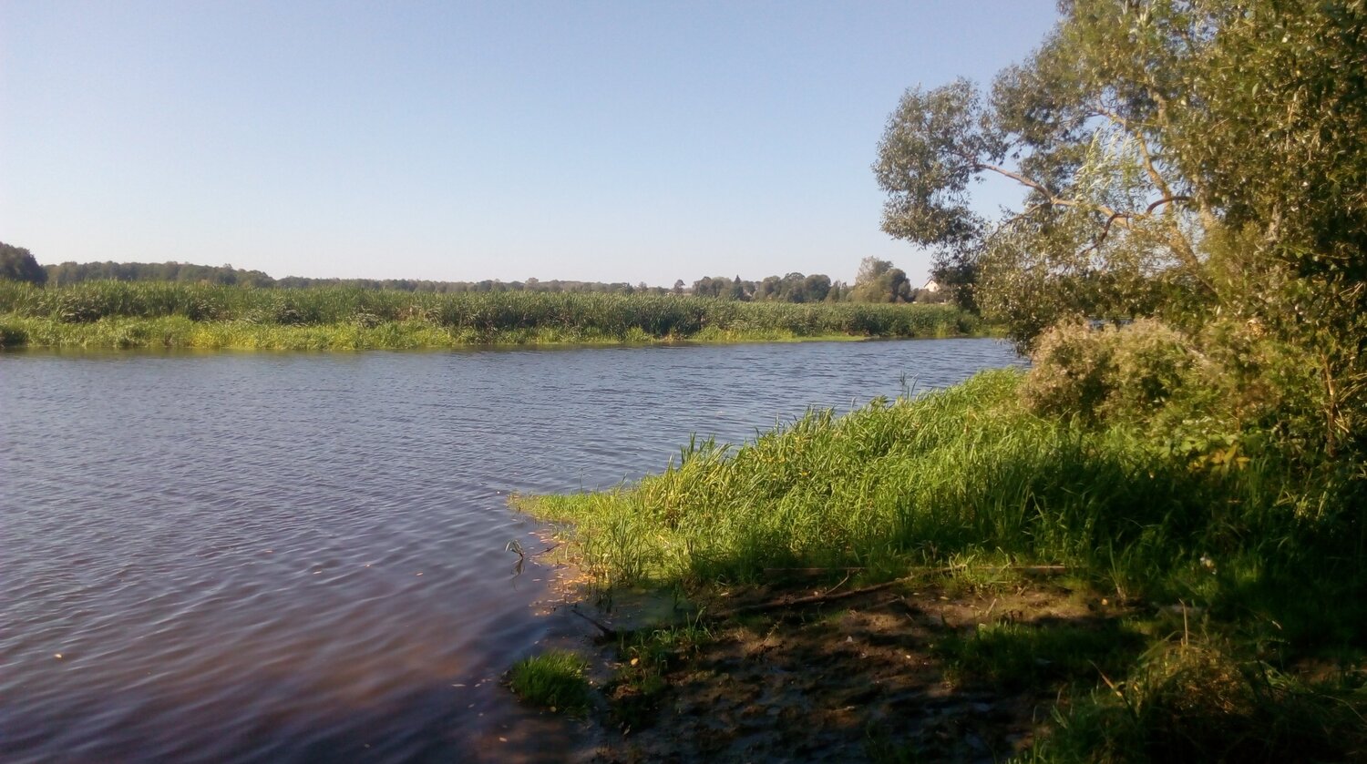 Photo #1404442